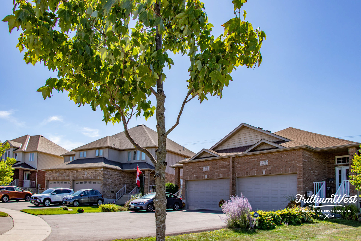 BeechwoodForestgallery 59 of 