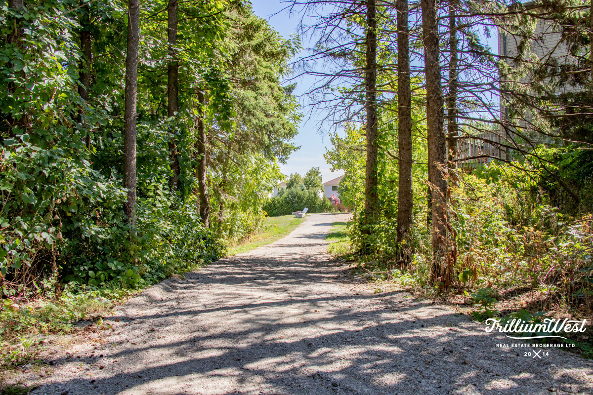 BeechwoodForestgallery 6 of 