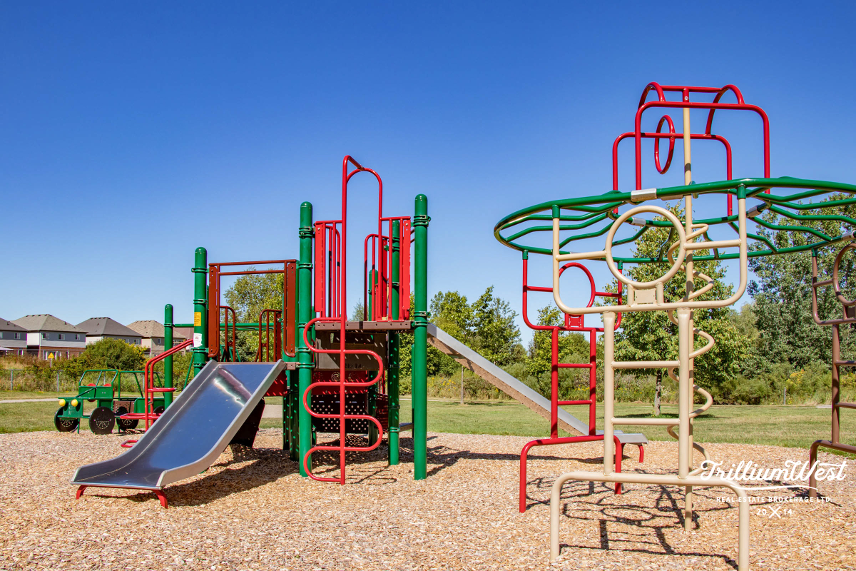 BeechwoodForestgallery 61 of 