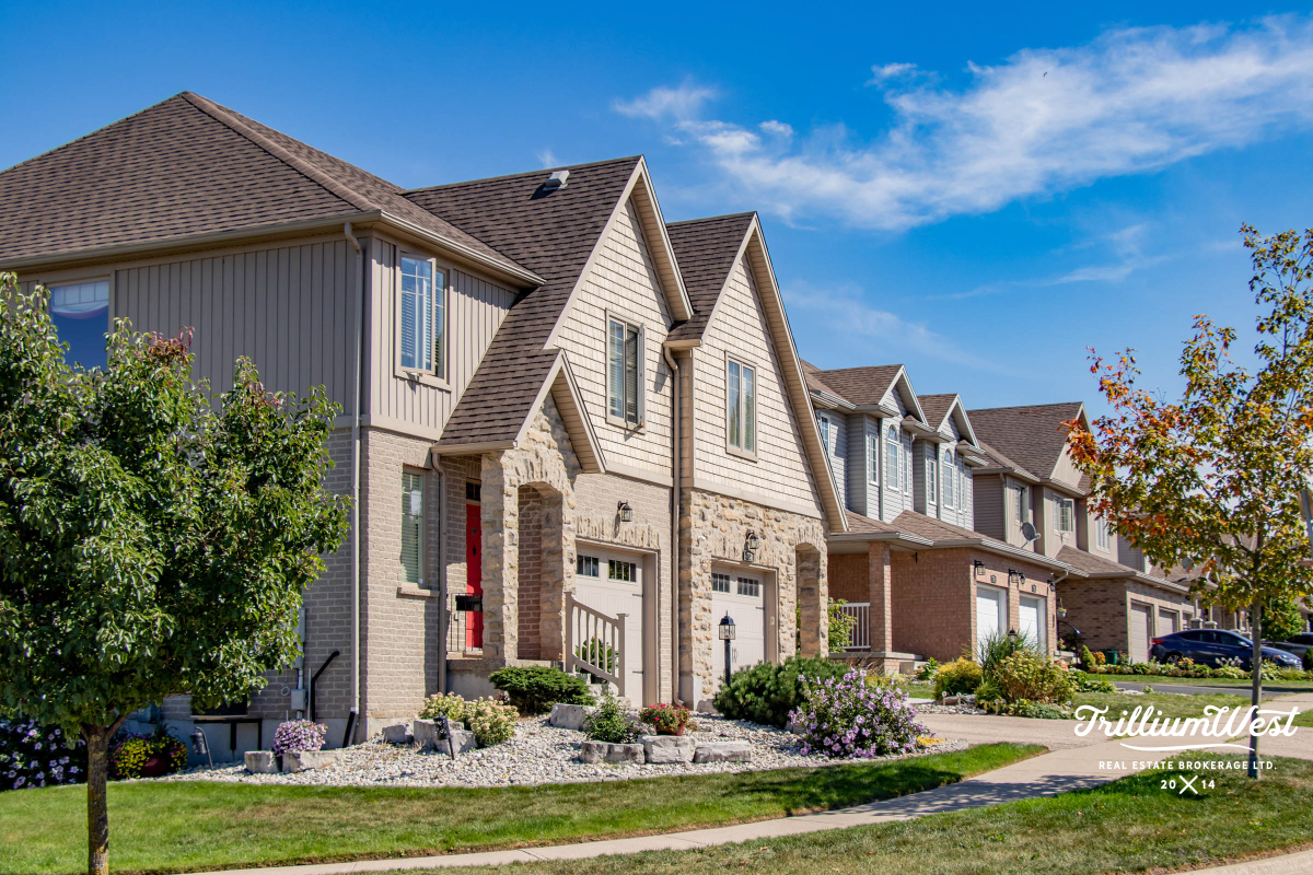 BeechwoodForestgallery 63 of 