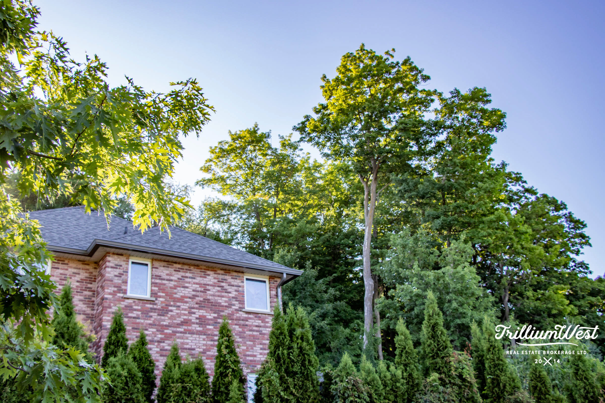 BeechwoodWgallery 32 of 