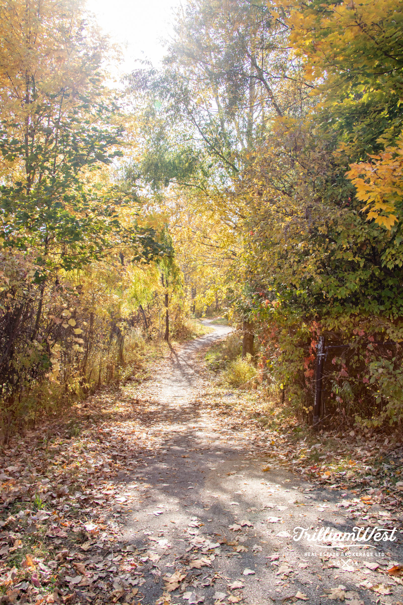 BranchtonParkGallery 