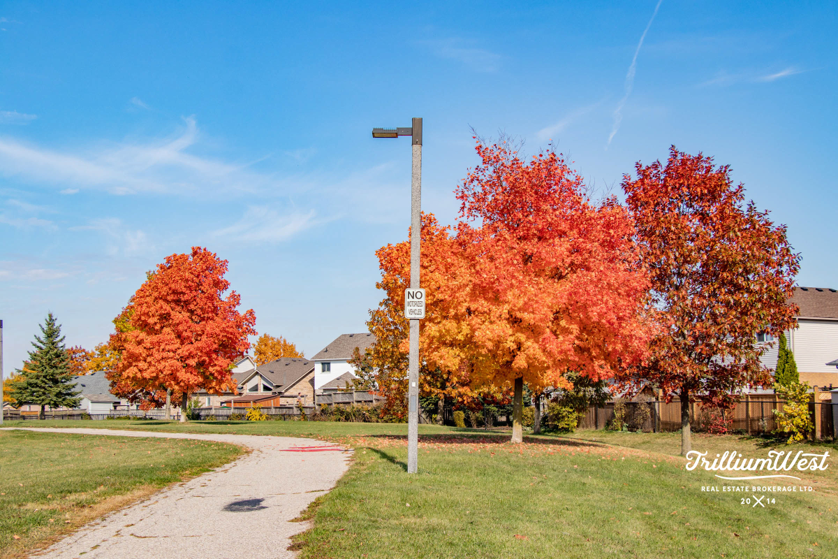 BranchtonParkGallery 