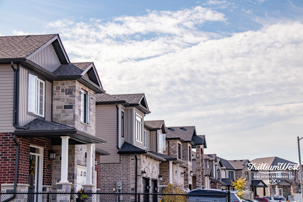 BranchtonParkGallery 