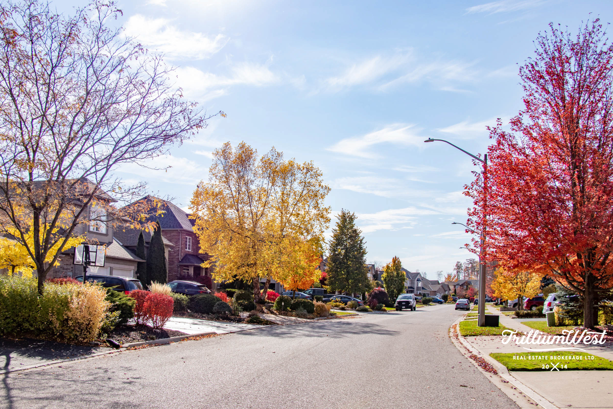 BranchtonParkGallery 