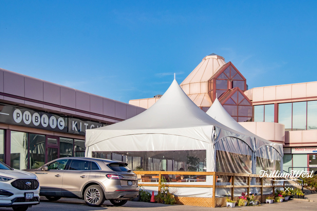 BreithauptParkgallery 