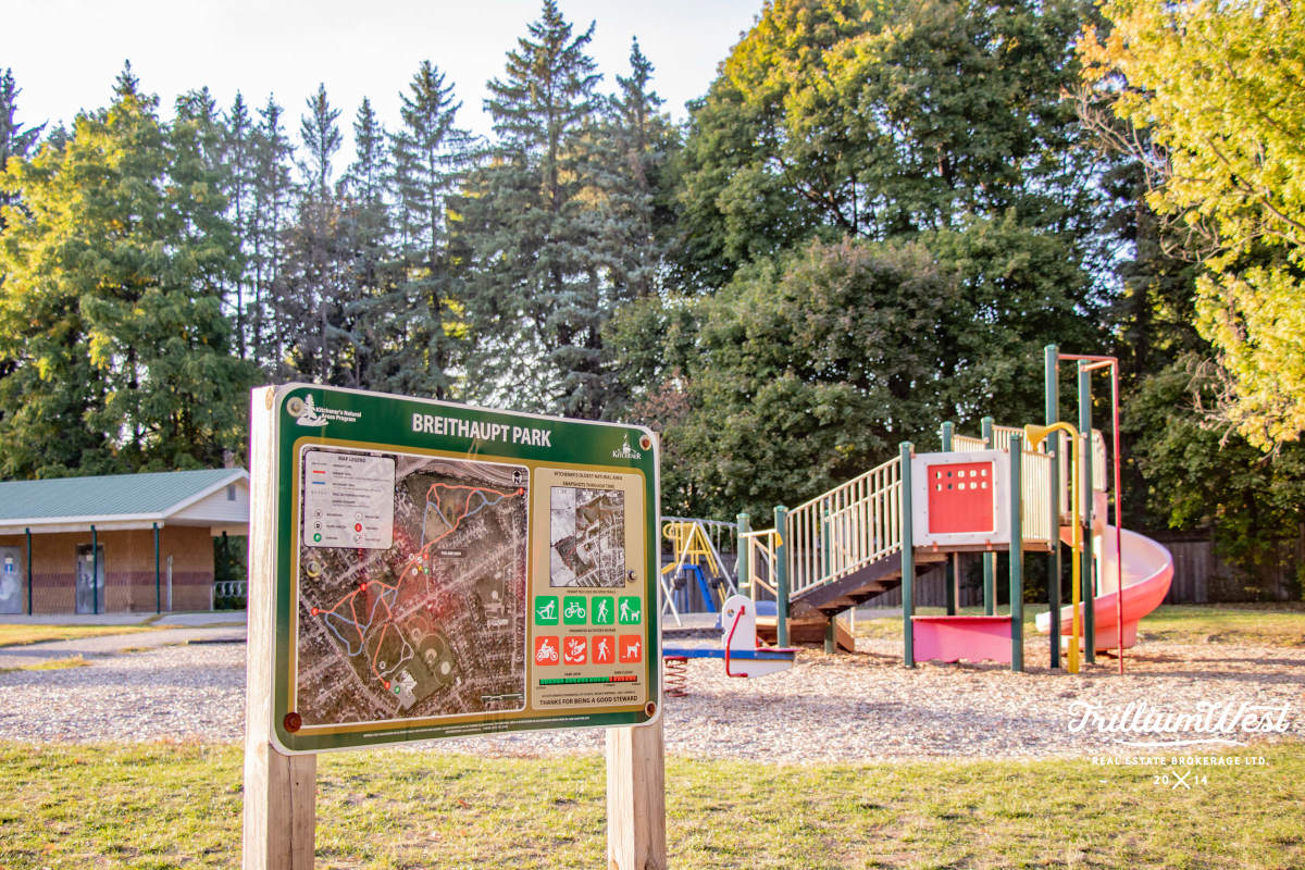 BreithauptParkgallery 