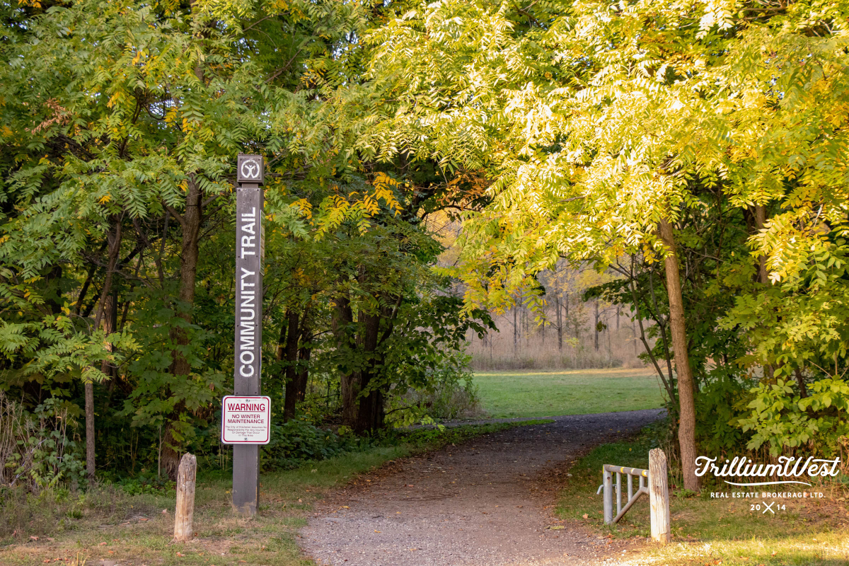 BreithauptParkgallery 