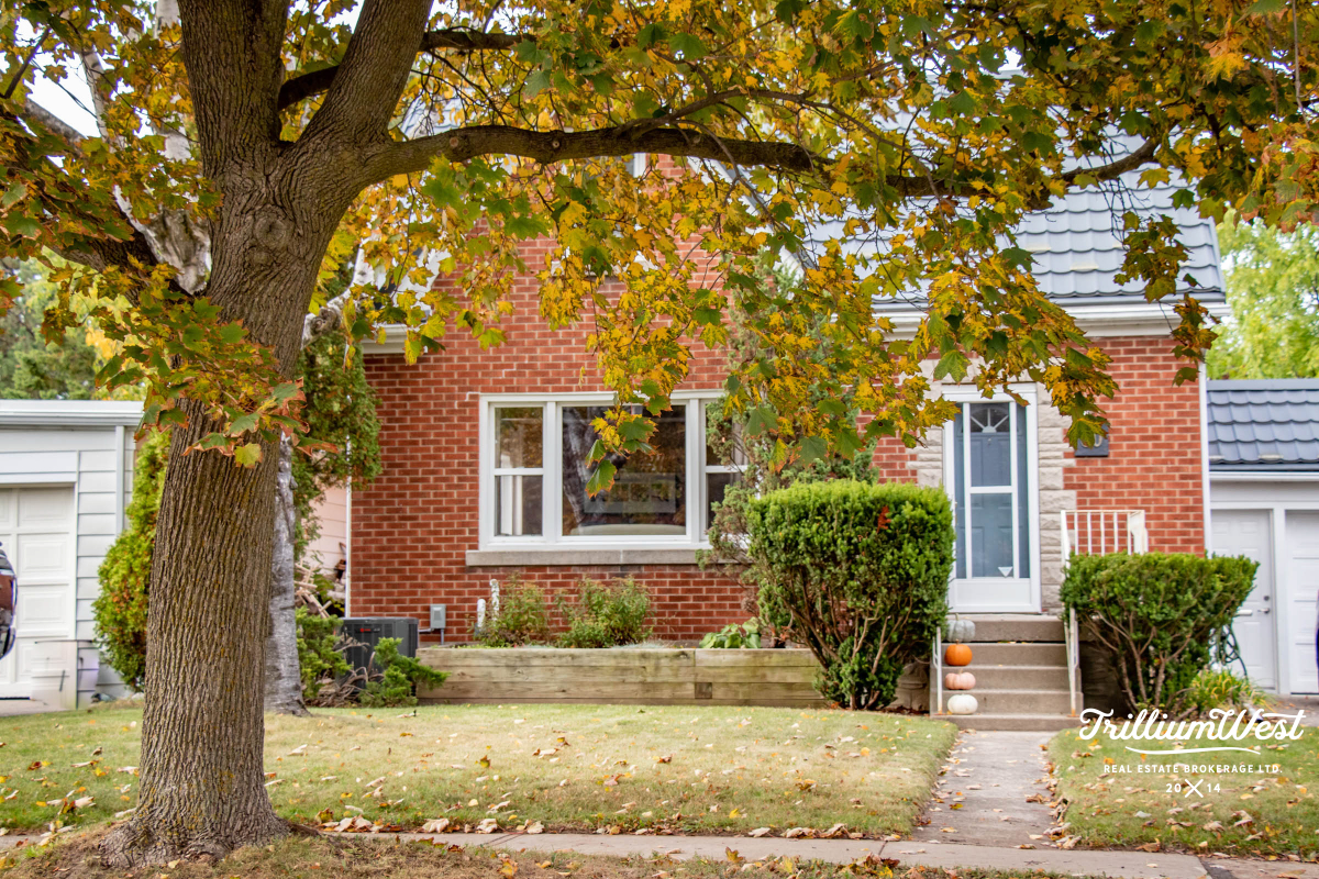 BreithauptParkgallery 