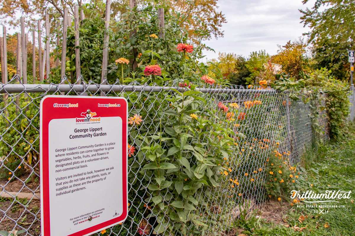 BreithauptParkgallery 