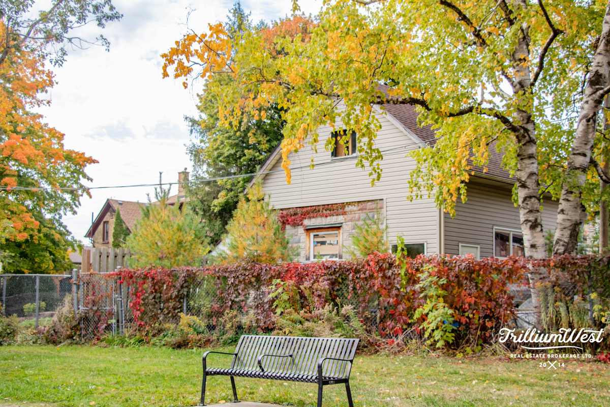 BreithauptParkgallery 