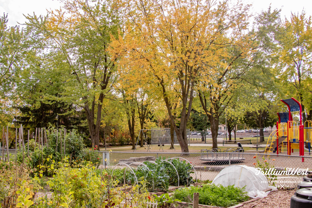 BreithauptParkgallery 