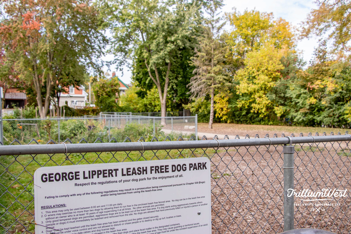 BreithauptParkgallery 