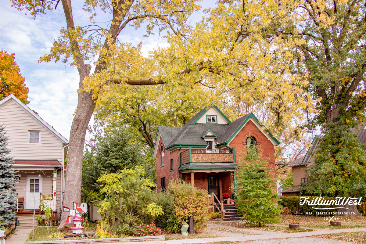 BreithauptParkgallery 