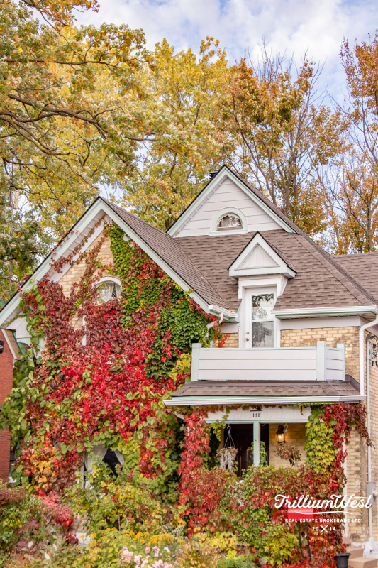 BreithauptParkgallery 