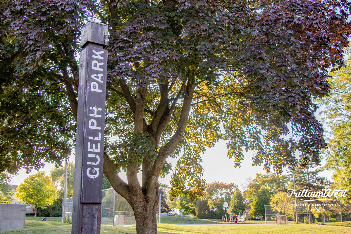 BreithauptParkgallery 