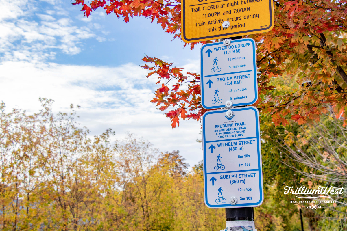 BreithauptParkgallery 