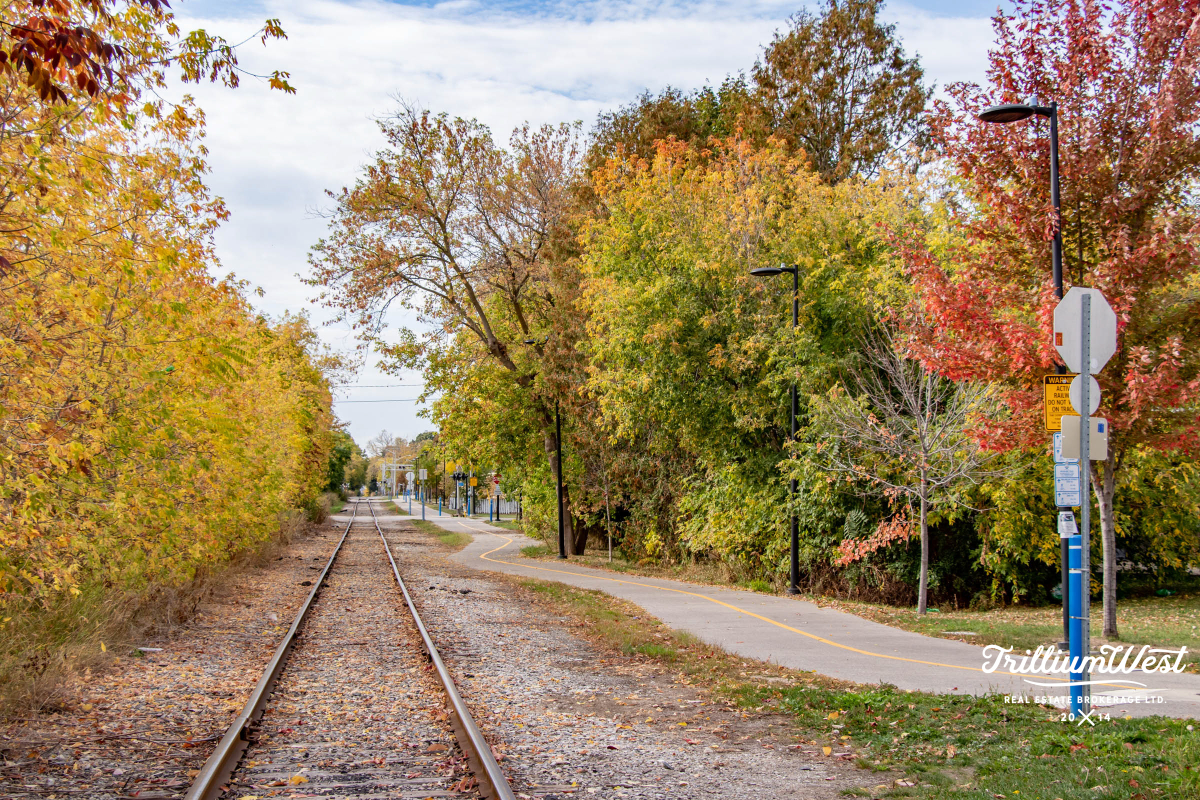 BreithauptParkgallery 