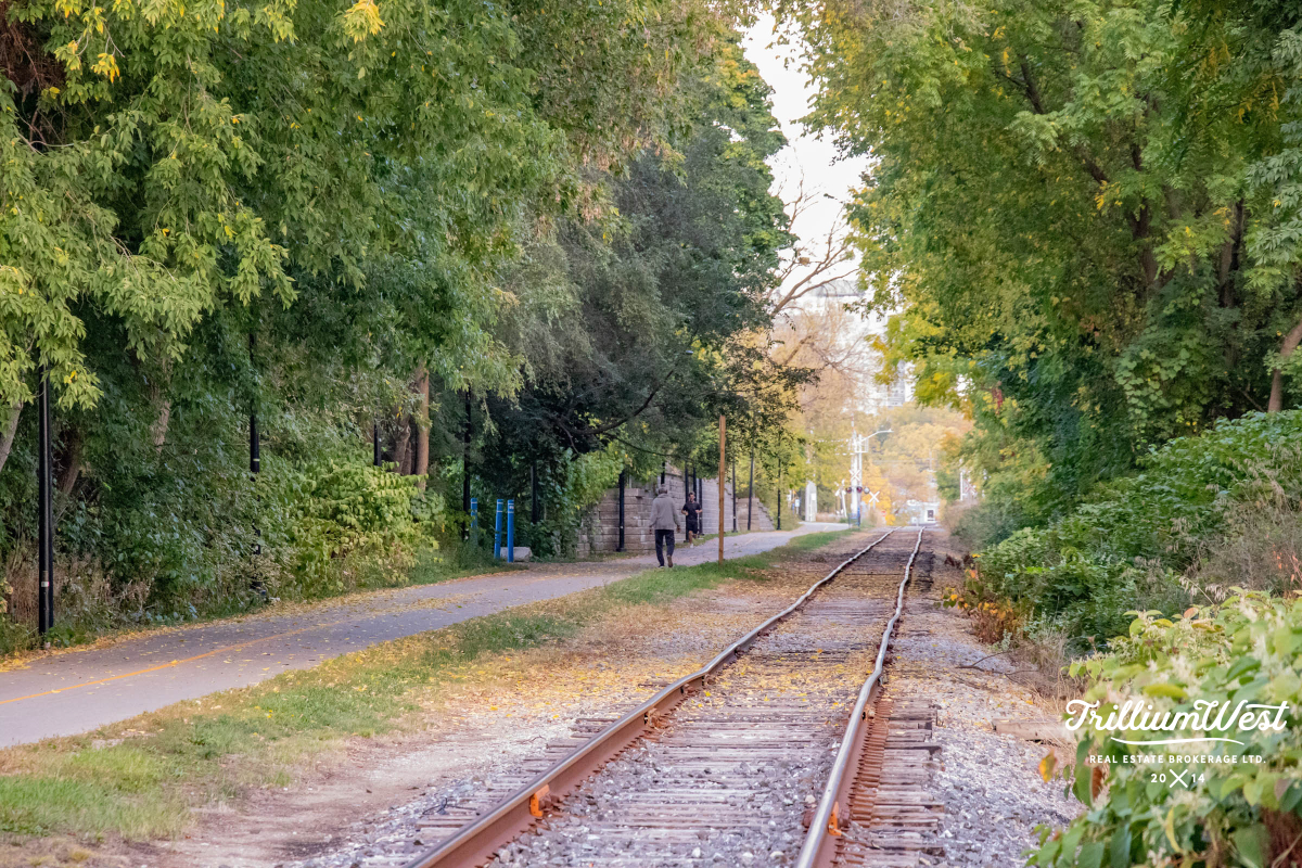 BreithauptParkgallery 