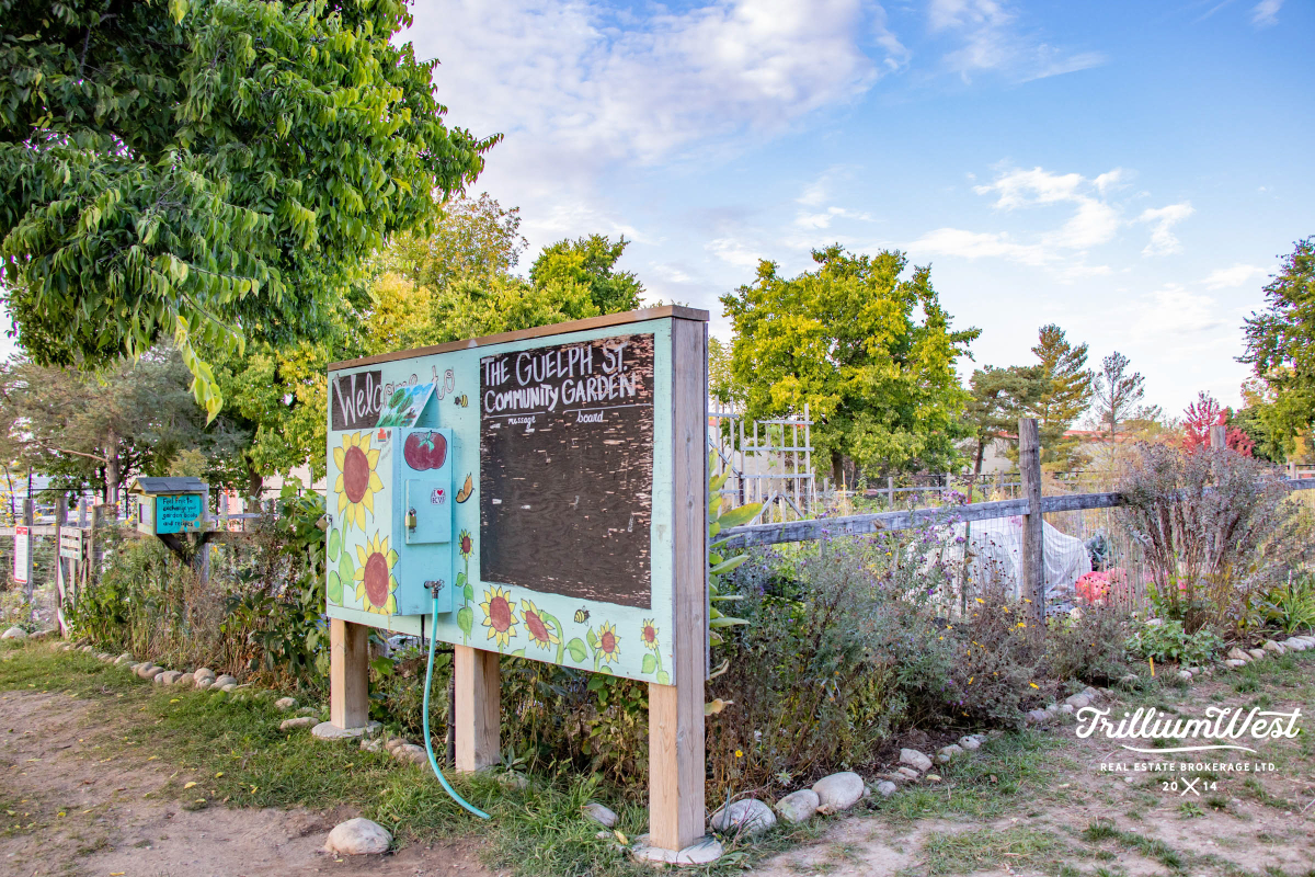 BreithauptParkgallery 