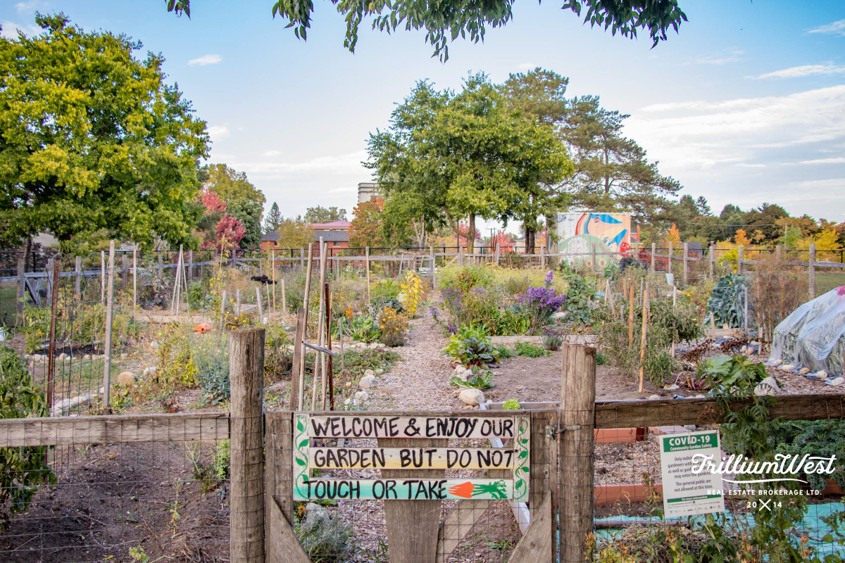 BreithauptParkgallery 