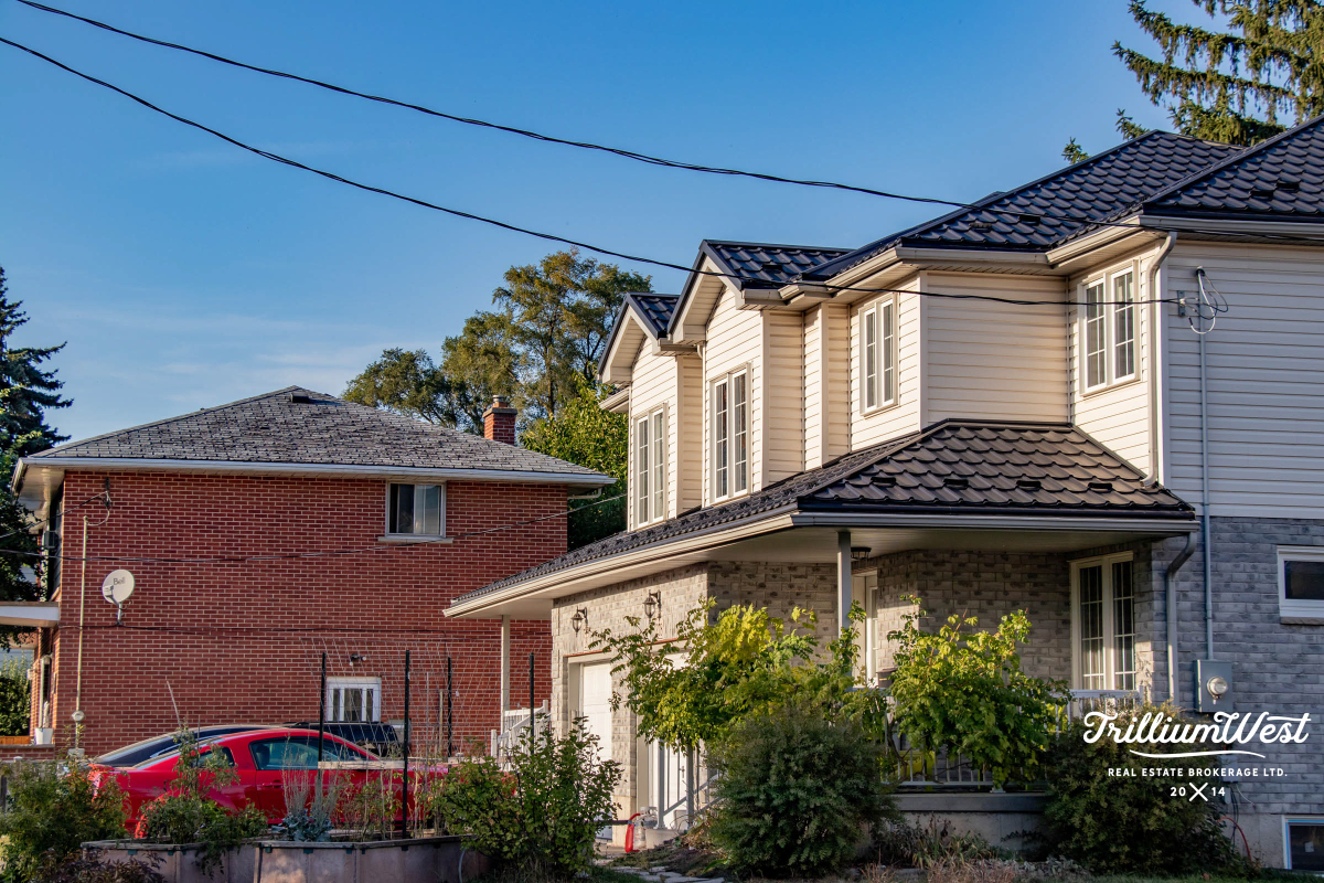 BreithauptParkgallery 