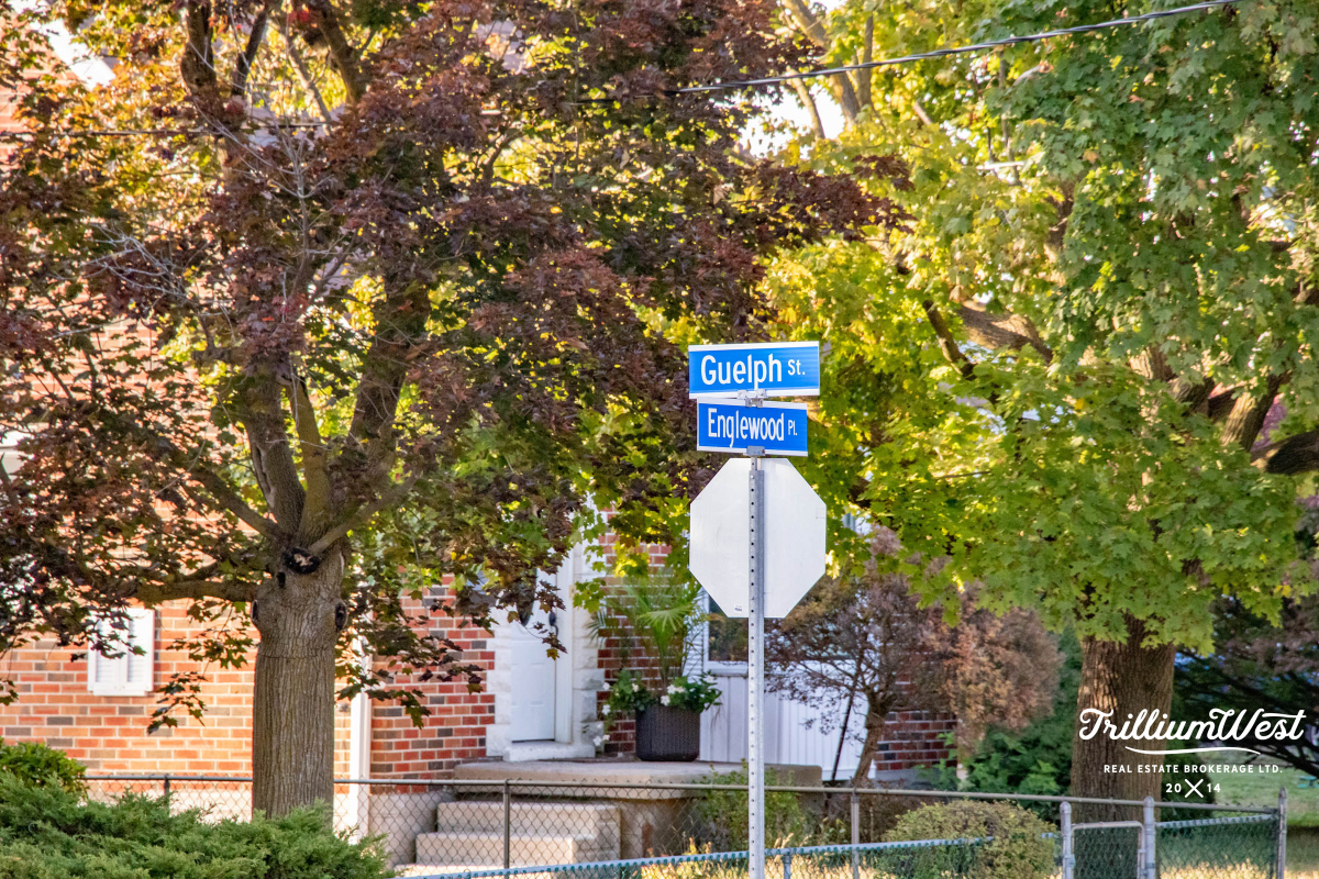 BreithauptParkgallery 