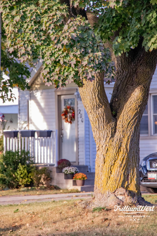 BreithauptParkproperties 