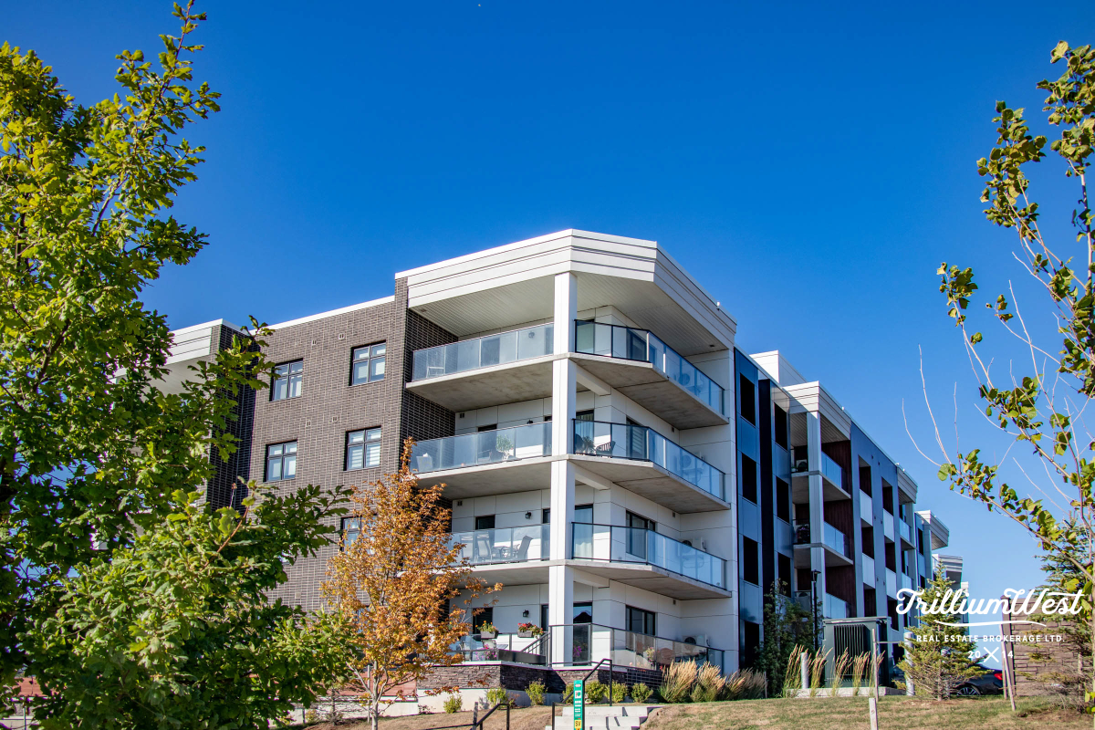 CarriageCrossinggallery 13 of 