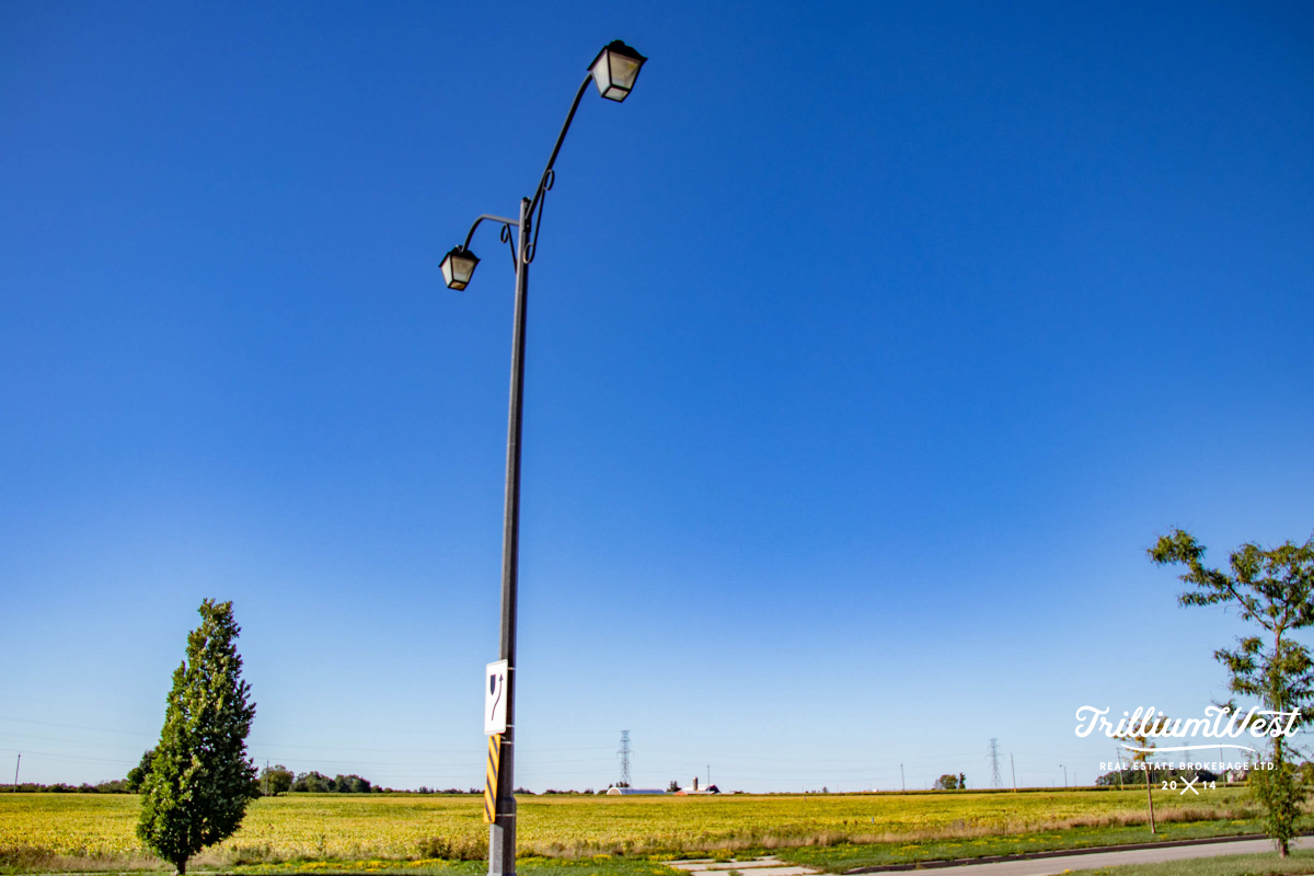 CarriageCrossinggallery 15 of 