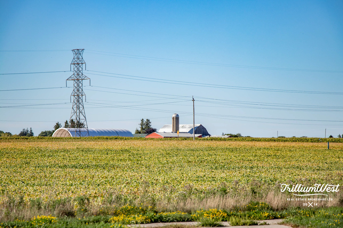 CarriageCrossinggallery 16 of 