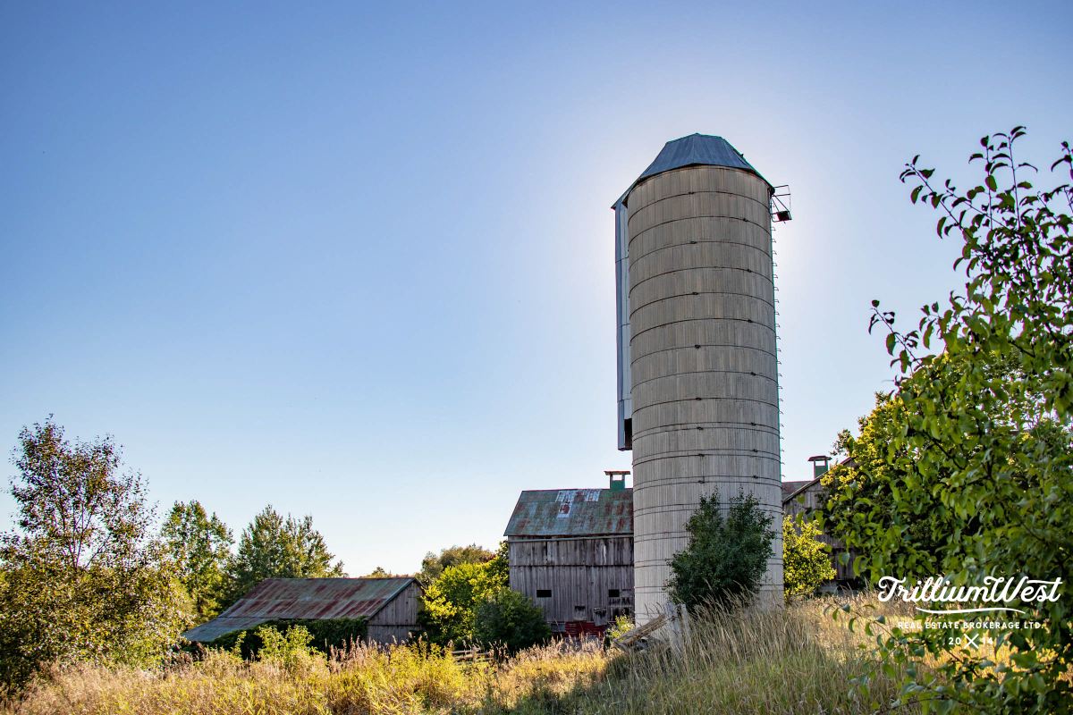 CarriageCrossinggallery 34 of 