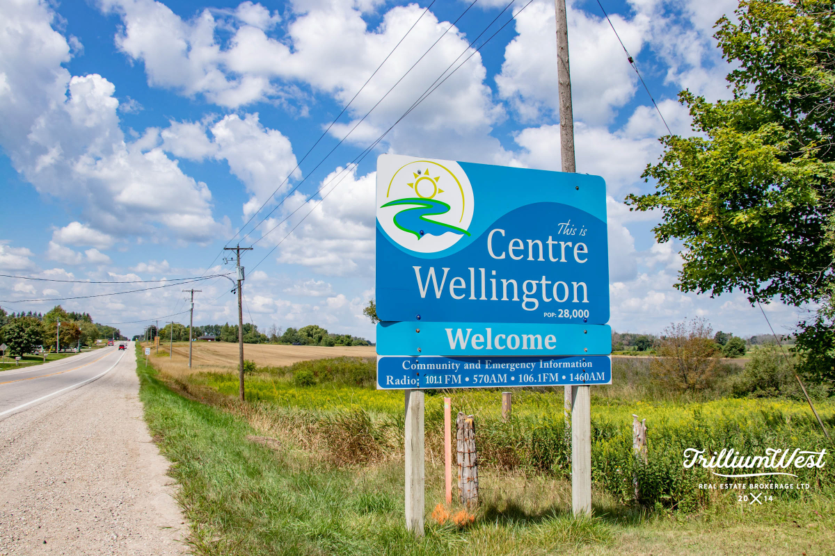 CentreWellingtongallery 1 of 