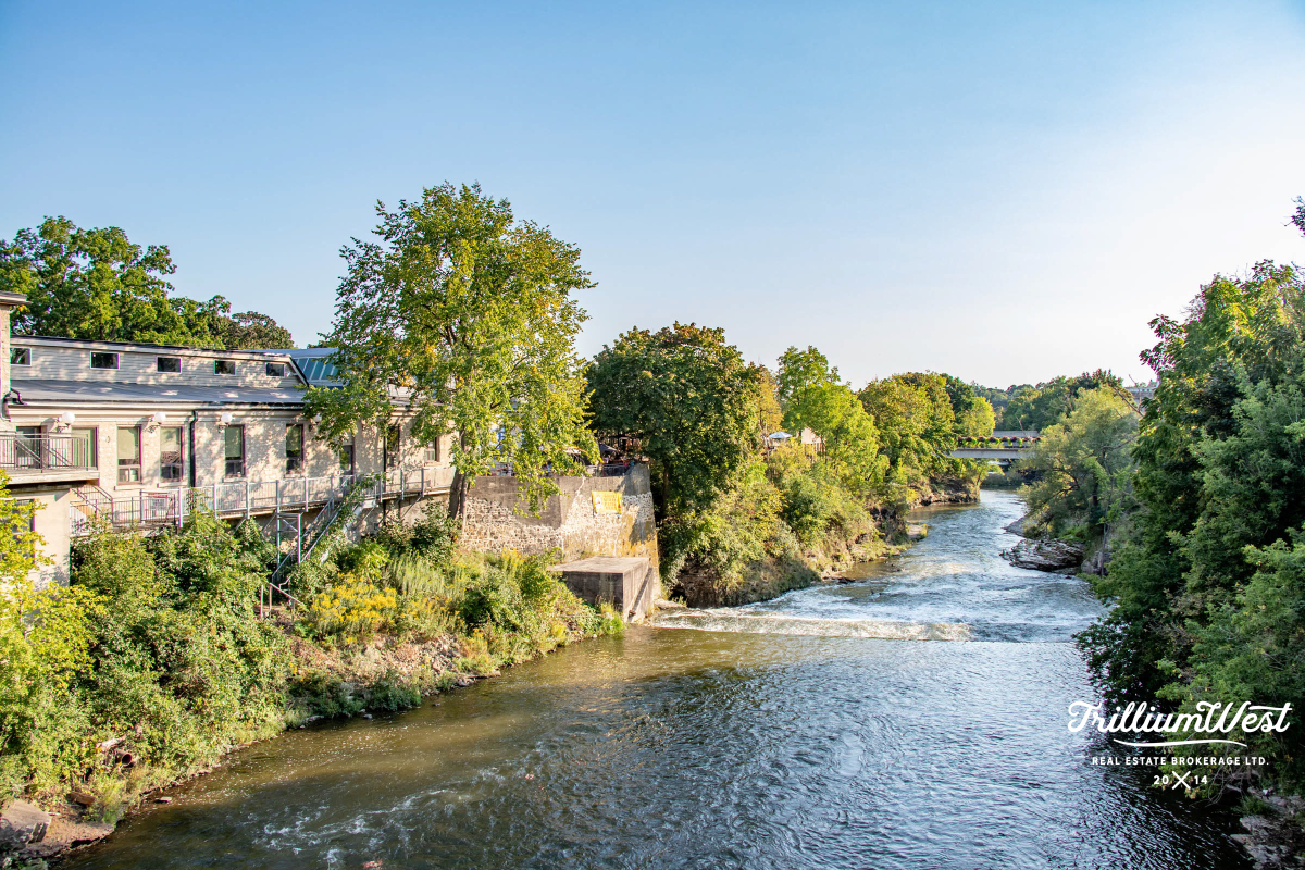 CentreWellingtongallery 106 of 