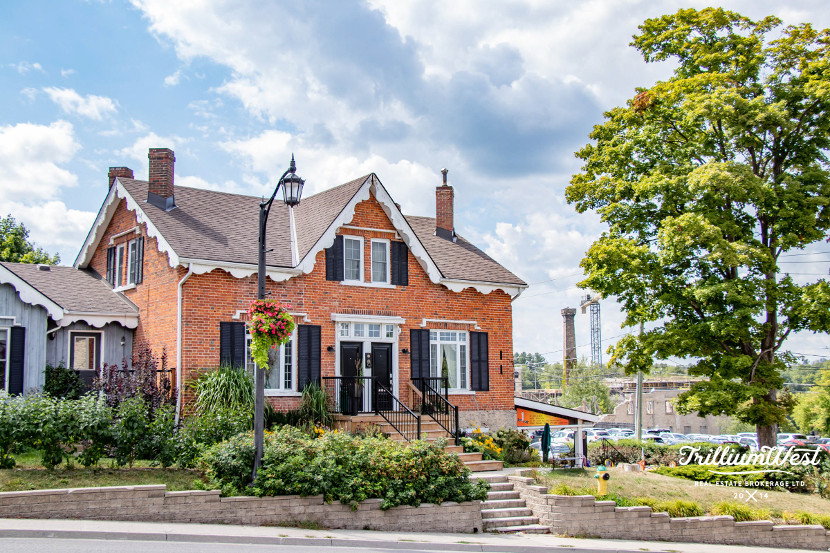 CentreWellingtongallery 12 of 