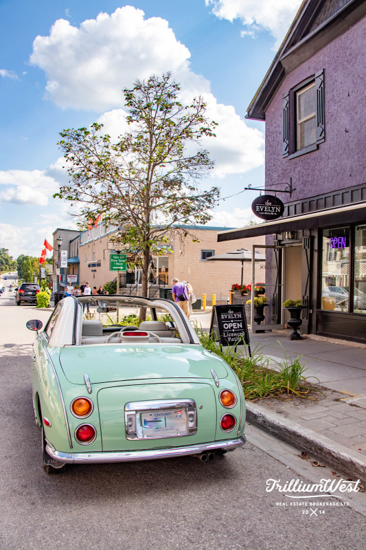 CentreWellingtongallery 16 of 