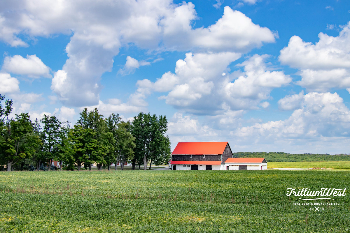 CentreWellingtongallery 2 of 