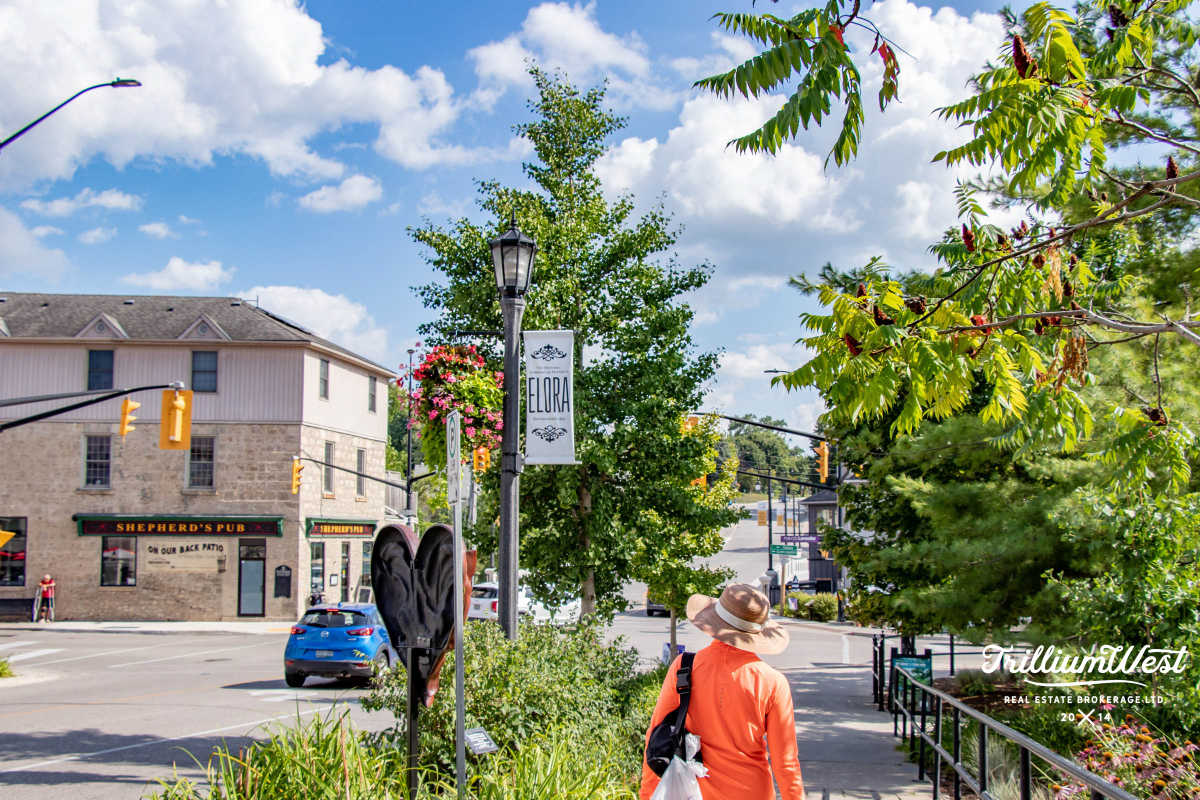 CentreWellingtongallery 23 of 