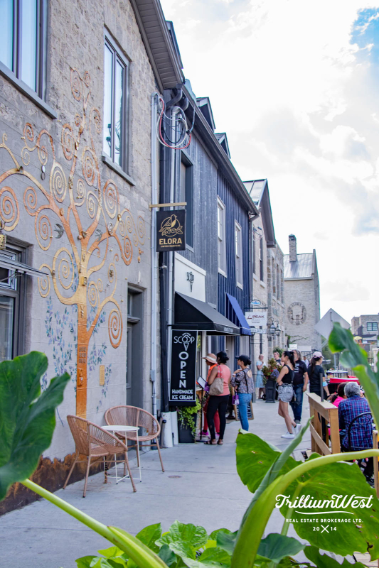 CentreWellingtongallery 27 of 