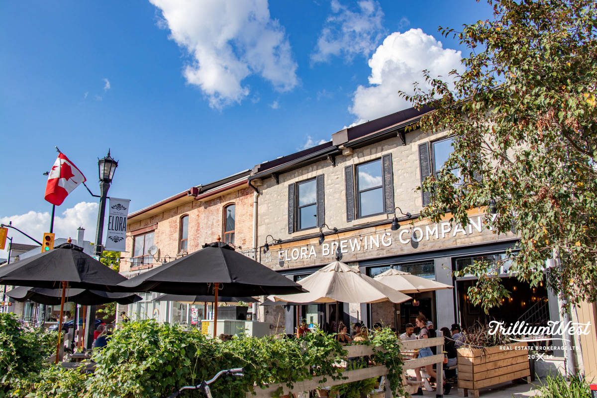 CentreWellingtongallery 41 of 