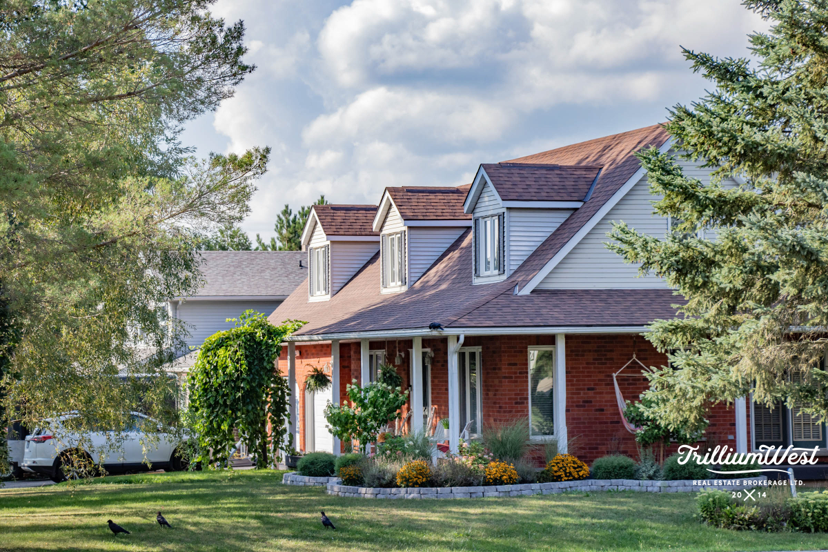 CentreWellingtongallery 53 of 