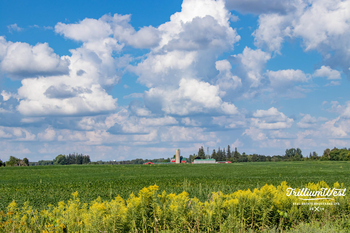 CentreWellingtongallery 54 of 