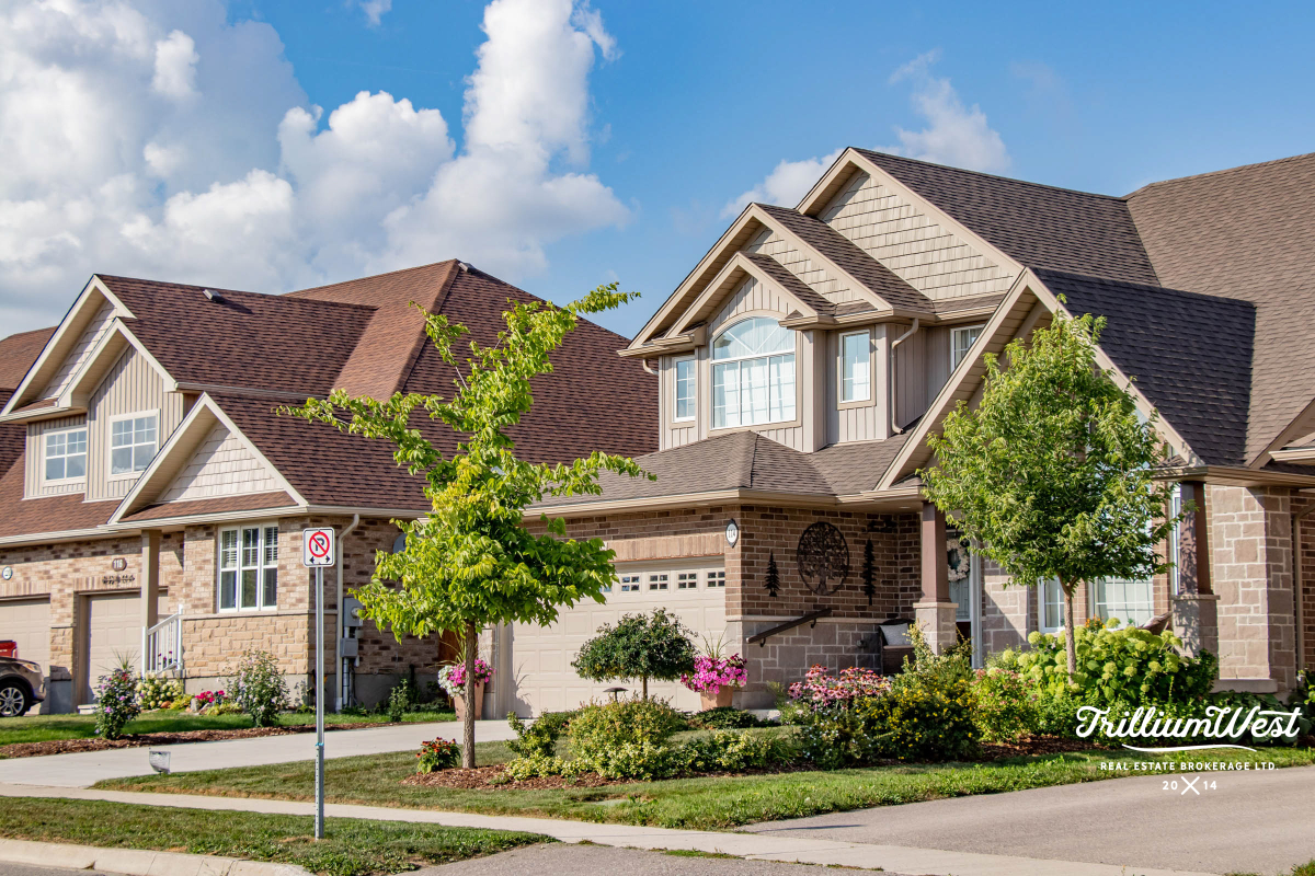 CentreWellingtongallery 58 of 