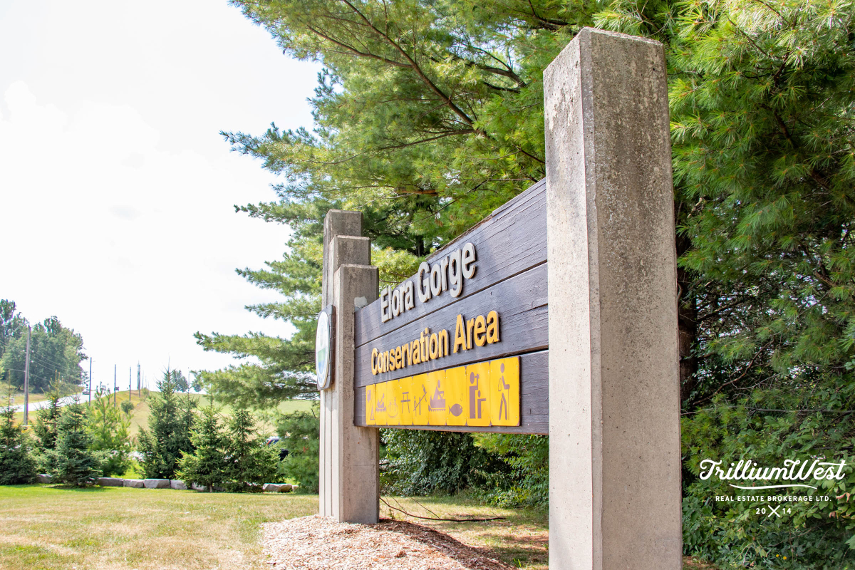 CentreWellingtongallery 6 of 