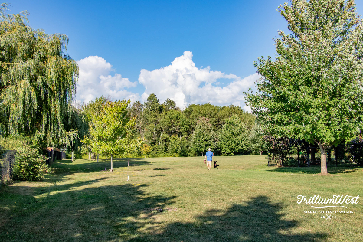 CentreWellingtongallery 60 of 