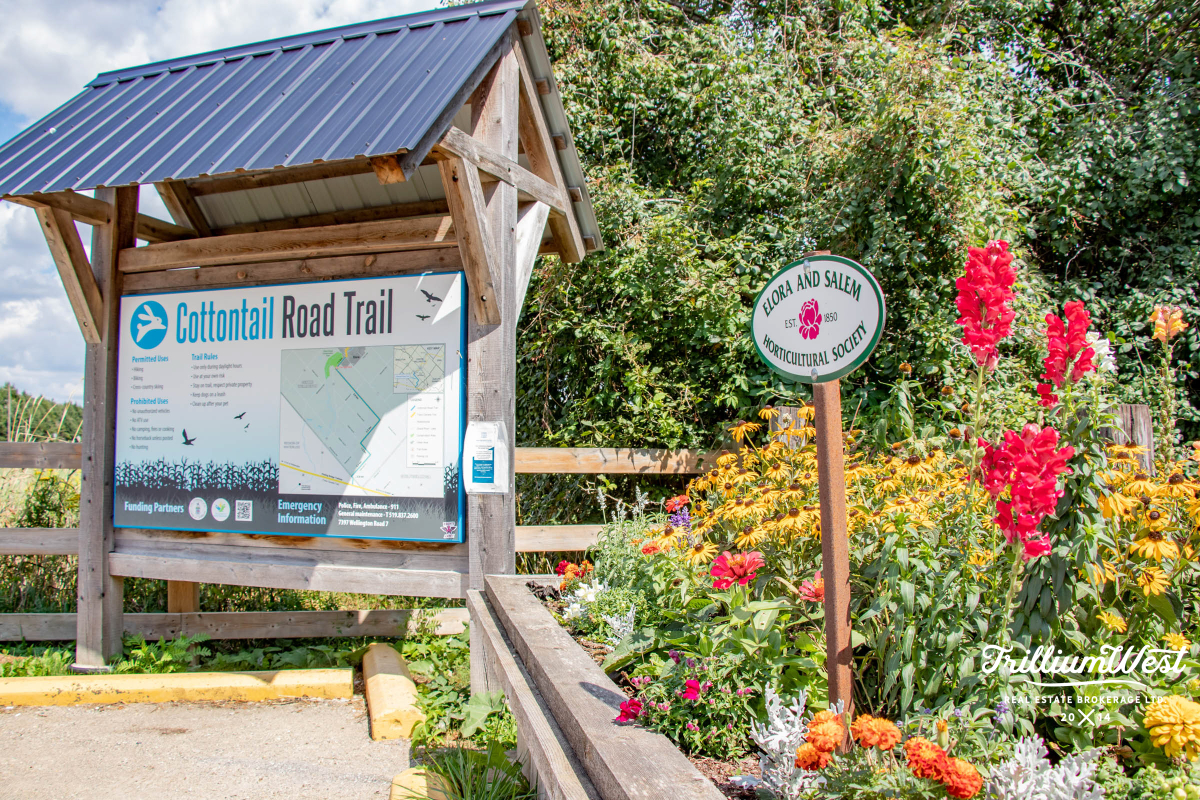 CentreWellingtongallery 7 of 