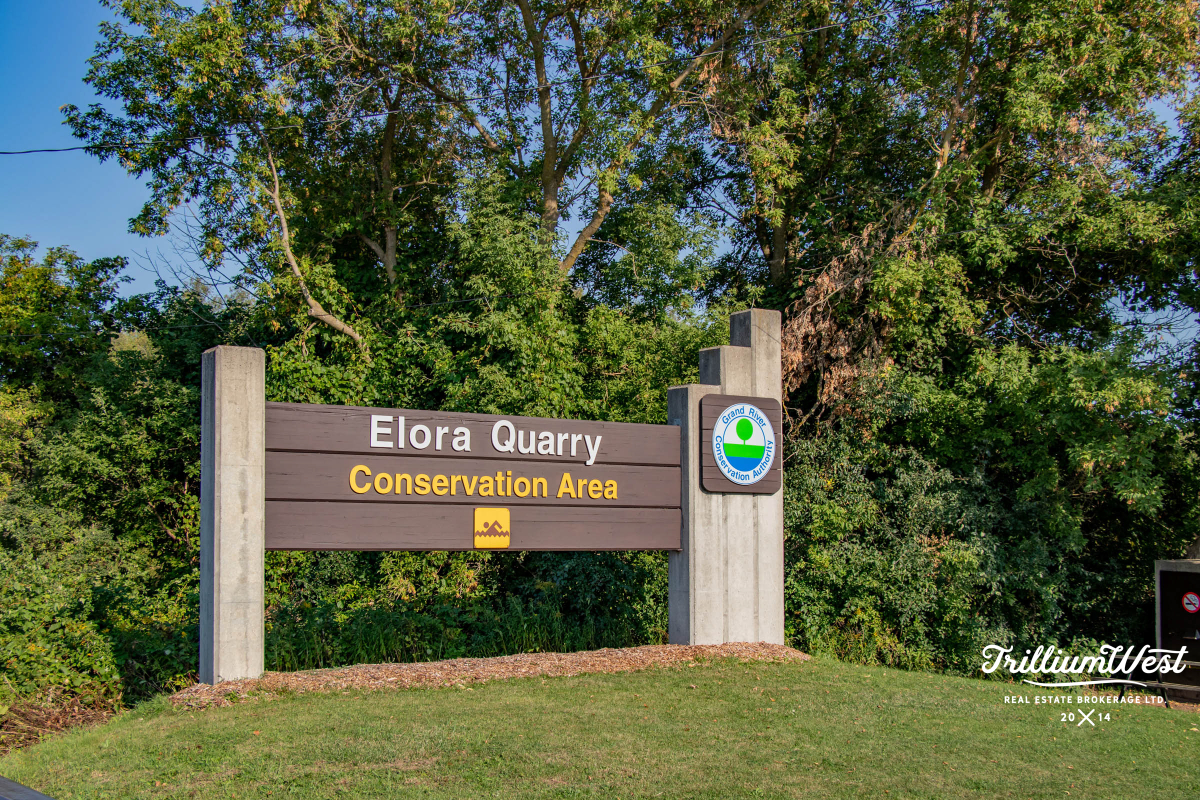 CentreWellingtongallery 86 of 