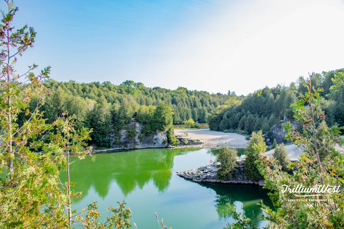 CentreWellingtongallery 87 of 