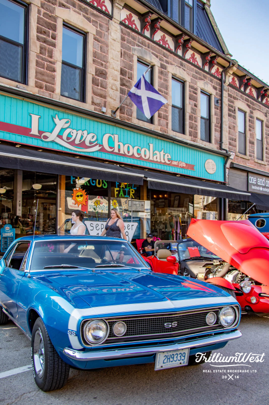 CentreWellingtongallery 93 of 