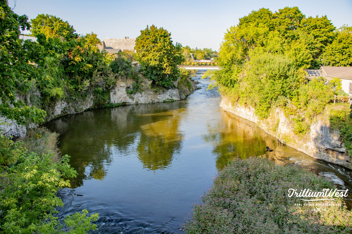 CentreWellingtongallery 97 of 